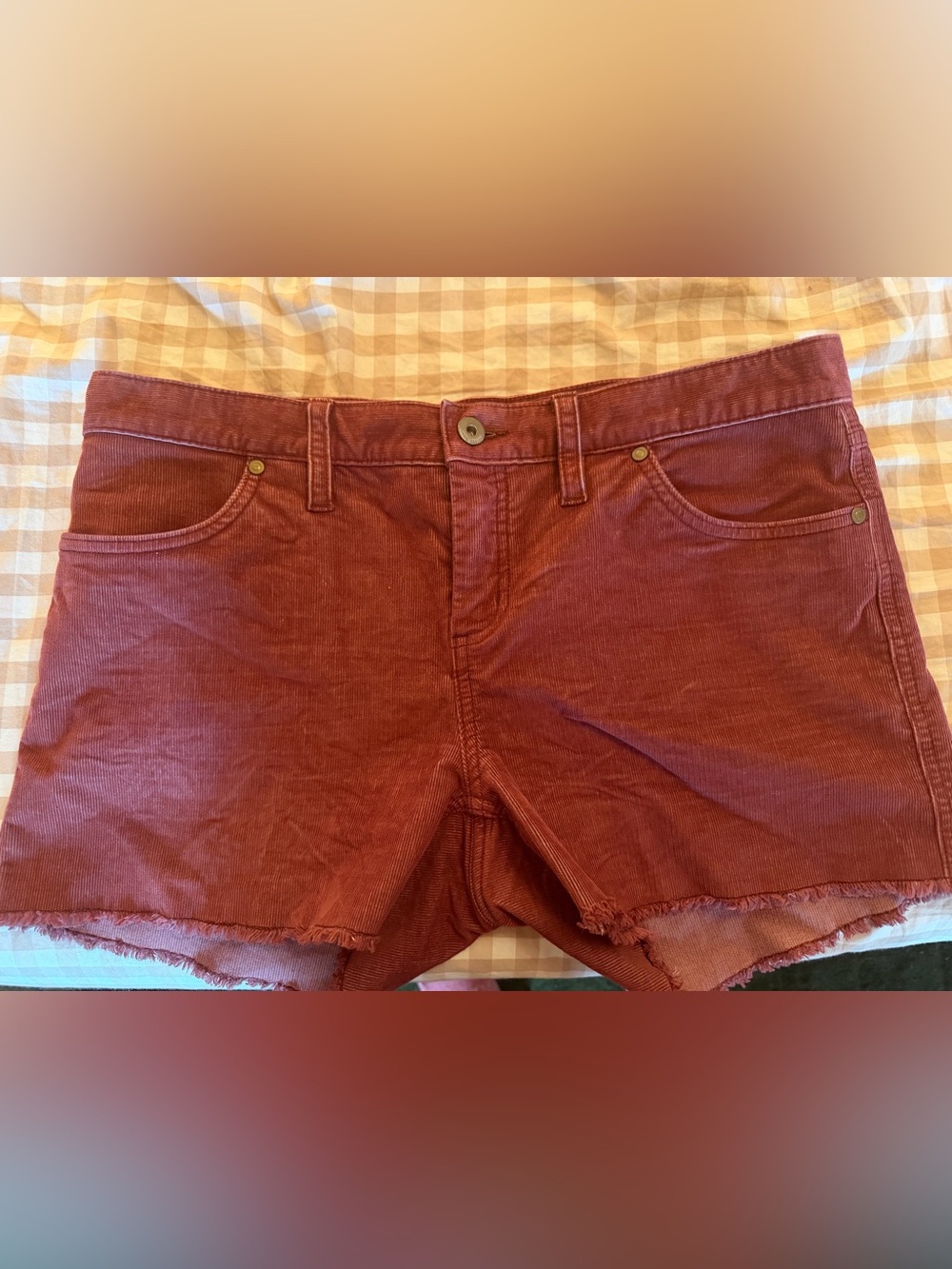 Carve design’s burgundy corduroy shorts